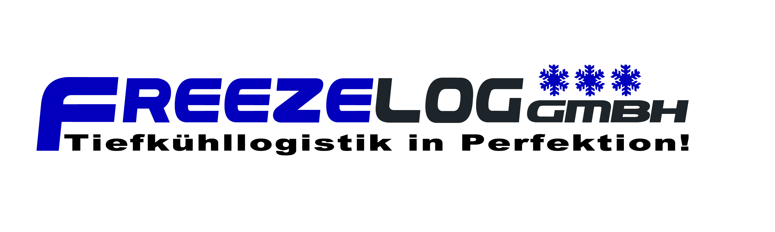 FreezeLog GmbH – Tiefkühllogistik in Perfektion